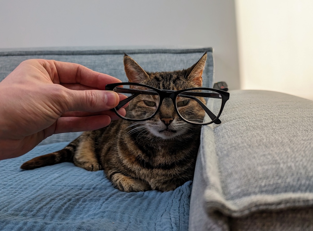 Twinkle with glasses