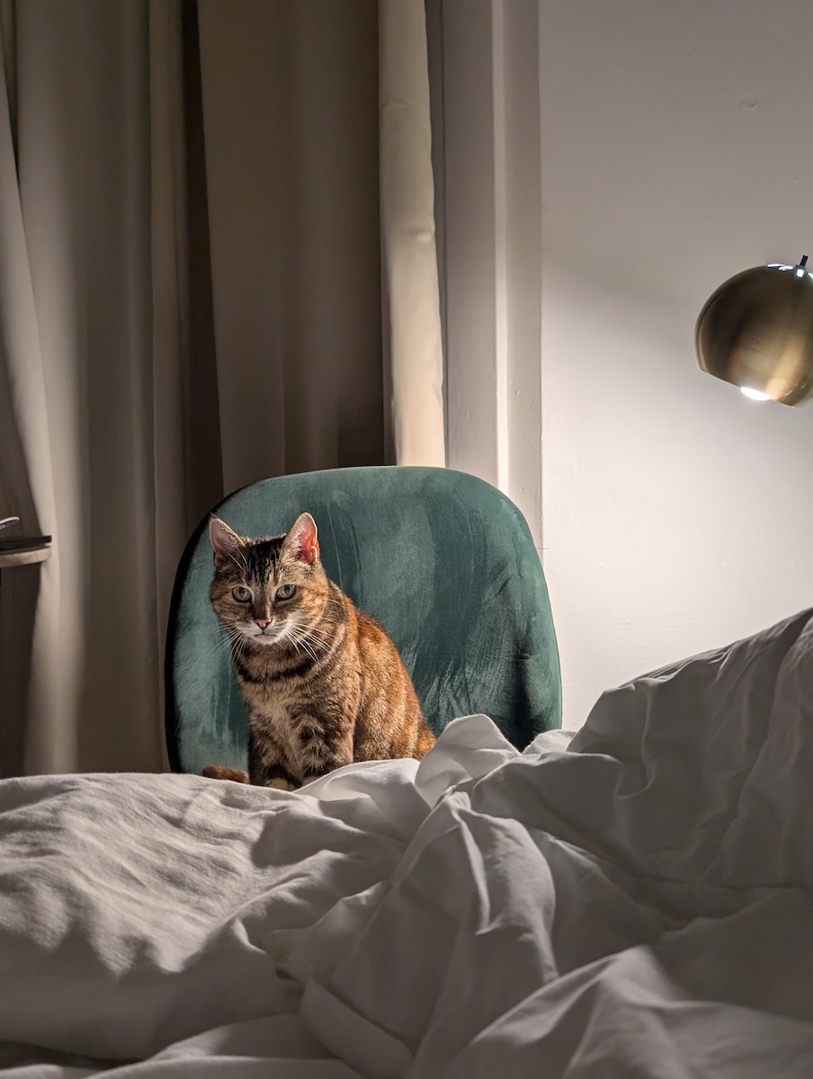 Twinkle on her throne